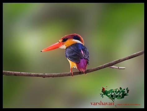 Varshavan- Nature, Hobby And Art Residency Dapoli Bagian luar foto